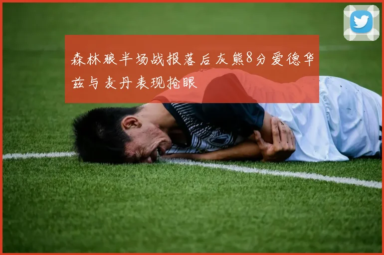 森林狼半场战报落后灰熊8分爱德华兹与麦丹表现抢眼