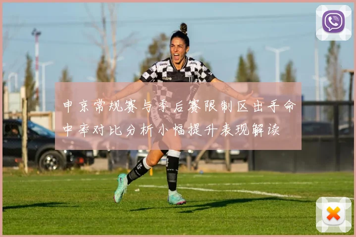 申京常规赛与季后赛限制区出手命中率对比分析小幅提升表现解读