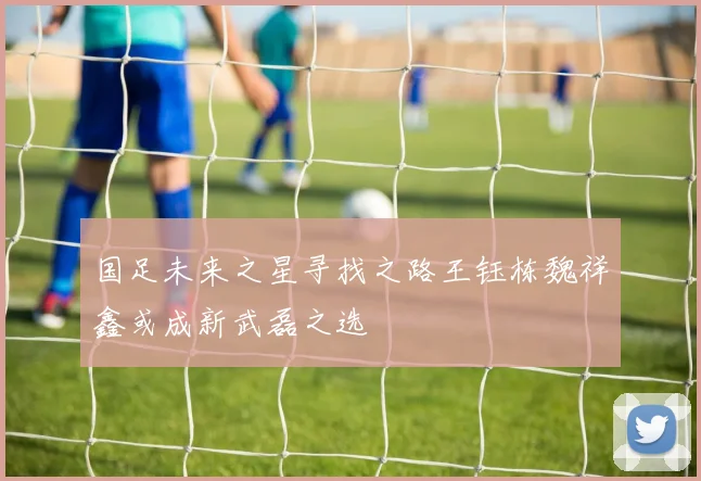 国足未来之星寻找之路王钰栋魏祥鑫或成新武磊之选