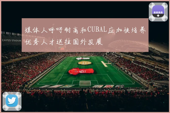 媒体人呼吁耐高和CUBAL应加快培养优秀人才送往国外发展